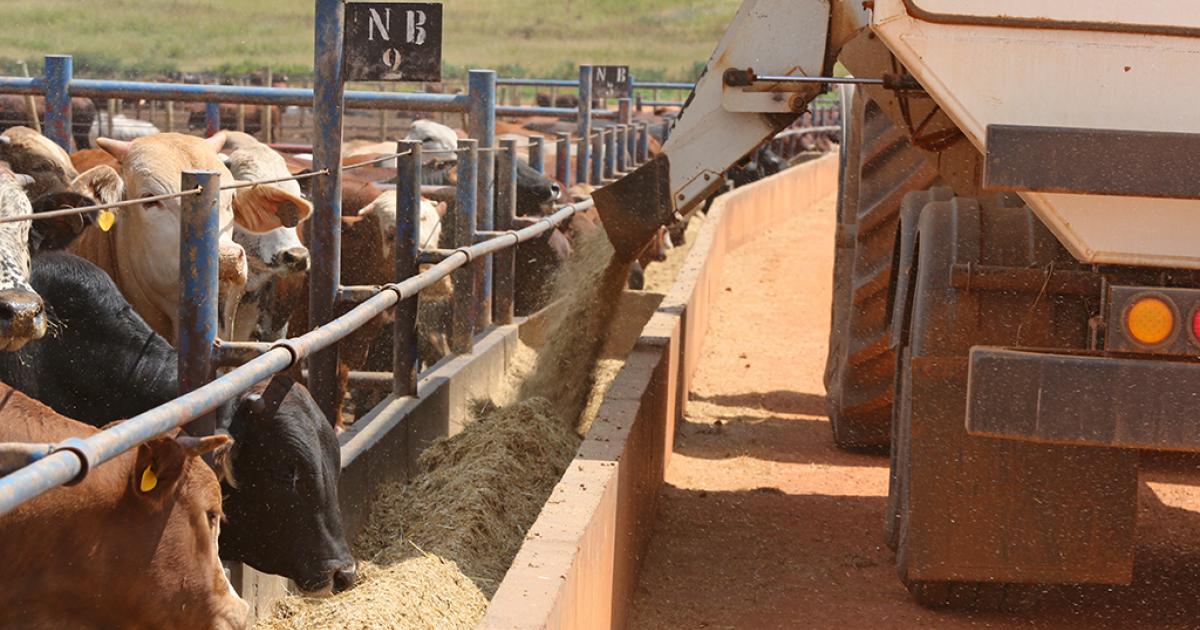 North West farmers warned of bovine infections through multidrug-resistant bacteria