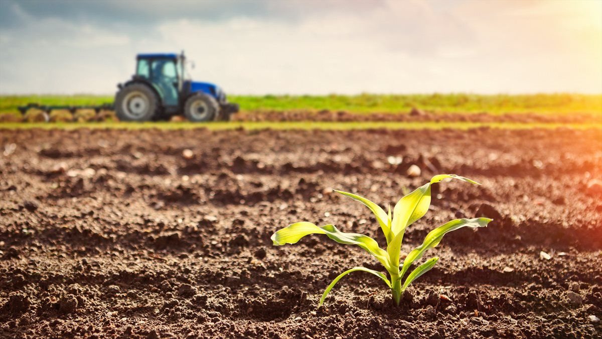 A further sign of resilience as agriculture posts a strong GDP rebound in Q2