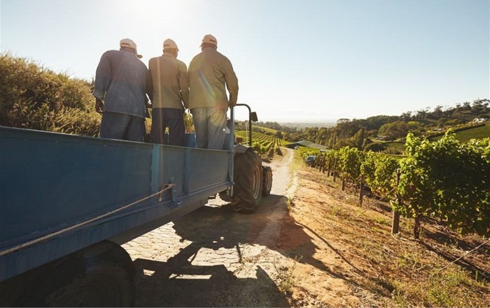 SA's agricultural employment stats up due to good harvests