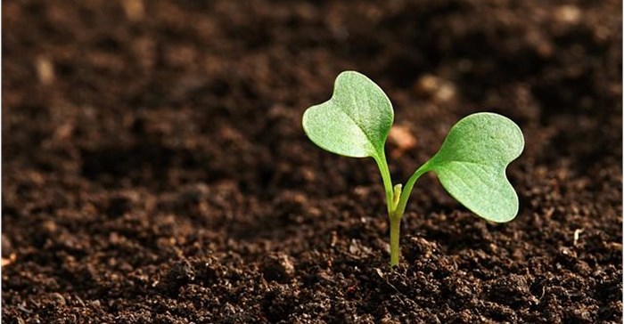 Youth-led, African agribusinesses announced as Pitch AgriHack 2021 winners