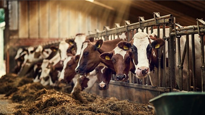 Sustainable dairy farming is also good for the bottom line