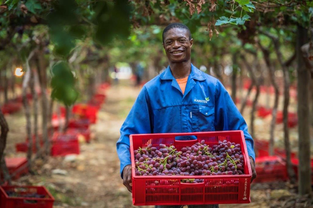 Farm workers in Northern Cape protest over alleged inhumane living conditions, abuse