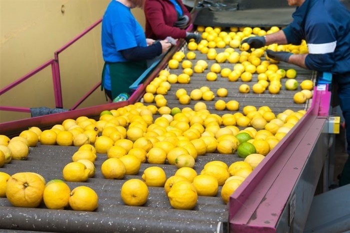 SA under US' radar for dumping lemon juice