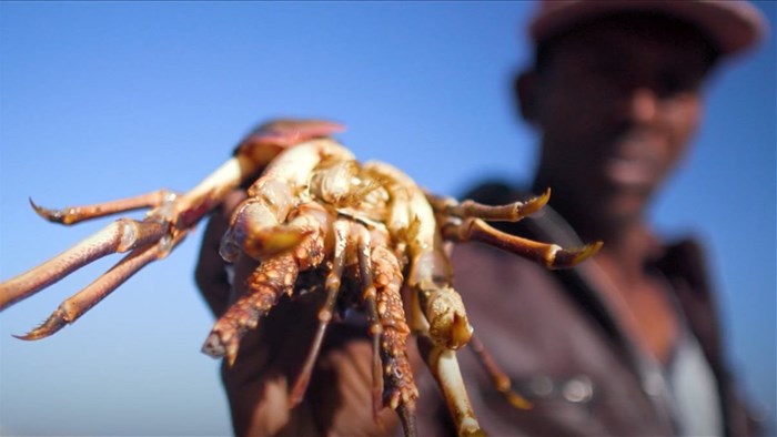 SA consumer power needed to help solve dire state of lobster fishing industry