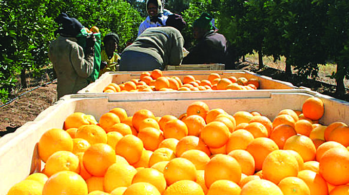 AfCFTA: What has worked and the way forward on agricultural trade